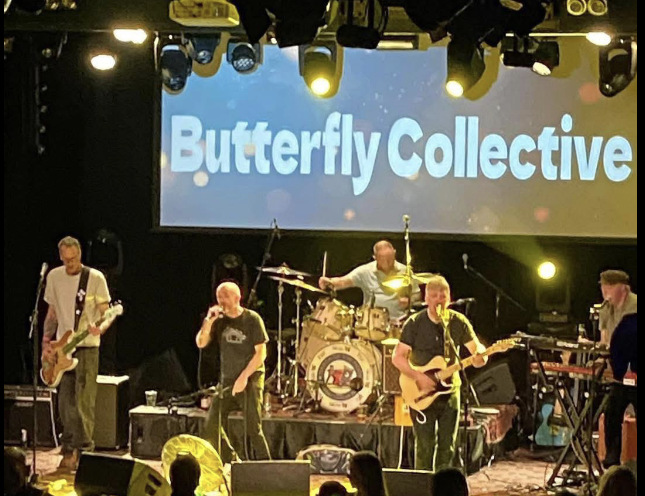 The Butterfly Collective